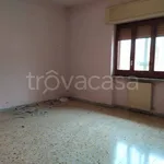 Rent 3 bedroom apartment of 80 m² in Caserta