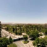 Rent 10 bedroom apartment in Granada