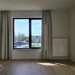 Huur 1 slaapkamer appartement in RUPELMONDE