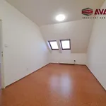 Pronájem bytu 2+1 50m²