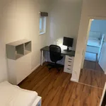 Rent 3 bedroom apartment of 65 m² in München