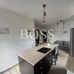 Rent 3 bedroom apartment of 90 m² in Grad Rijeka