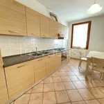 Rent 2 bedroom apartment of 48 m² in Brendola