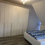 Rent 1 bedroom apartment of 30 m² in Hanover