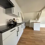 Rent 3 bedroom apartment of 120 m² in Domplein, Neude, Janskerkhof