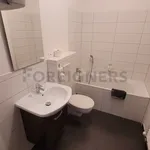 Rent 1 bedroom apartment of 27 m² in Brno