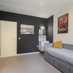 Huur 5 slaapkamer huis van 180 m² in Arnhem