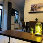 Rent 2 bedroom apartment of 55 m² in Dresden