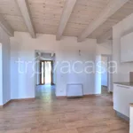 Rent 3 bedroom house of 100 m² in Viterbo