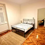 Rent 1 bedroom apartment of 50 m² in Zagreb