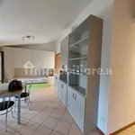 Rent 1 bedroom apartment of 40 m² in Bologna