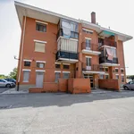 Rent 5 bedroom apartment of 170 m² in Leini