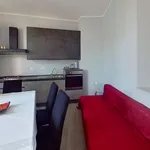 Rent 1 bedroom apartment of 55 m² in torino