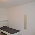 Rent a room of 200 m² in Trento