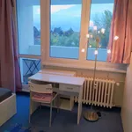 Rent a room of 80 m² in Prague