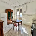 Rent 4 bedroom apartment of 110 m² in Campobasso