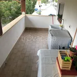 Rent 3 bedroom apartment of 50 m² in Carini