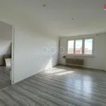 Rent 2 bedroom apartment of 55 m² in Most