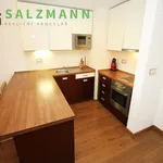 Rent 2 bedroom apartment of 52 m² in Pilsen