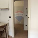 Rent 3 bedroom apartment of 65 m² in Ferrara