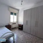 Affitto 3 camera appartamento di 76 m² in Bologna