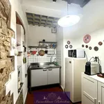 Rent 1 bedroom apartment of 35 m² in Firenze