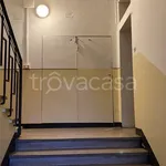 Rent 3 bedroom apartment of 90 m² in Bologna