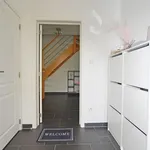 Rent 1 bedroom apartment in Hasselt