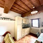 Rent 2 bedroom apartment of 50 m² in Vicopisano