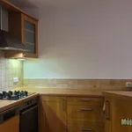 Rent 1 bedroom apartment in Capital City of Prague