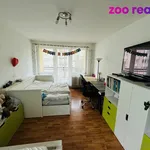 Rent 2 bedroom apartment in České Budějovice