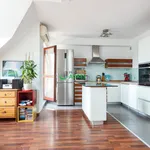 Rent 2 bedroom apartment of 50 m² in Wrocław