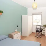 Rent a room in Castelló de la Plana