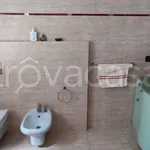 Rent 2 bedroom apartment of 45 m² in Bologna