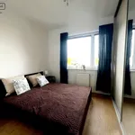 Rent 3 bedroom apartment of 59 m² in Gliwice