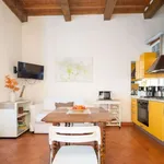 Rent 1 bedroom apartment of 38 m² in florence