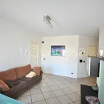 Rent 3 bedroom apartment of 70 m² in Novara