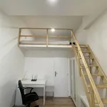 Rent 1 bedroom apartment in Brno