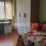 Rent 3 bedroom apartment of 75 m² in Turin