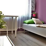 Rent a room in Katowice