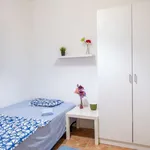 Rent a room in madrid