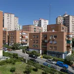 Alquilar 4 dormitorio apartamento en madrid