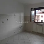 Rent 3 bedroom apartment of 80 m² in Terni