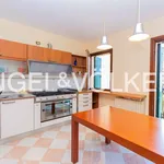 Rent 2 bedroom apartment of 158 m² in Padua