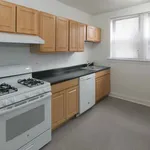 Rent 1 bedroom apartment in Chicago