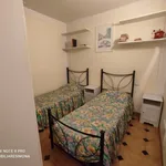 Rent 3 bedroom apartment of 55 m² in Viareggio