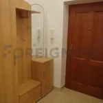 Rent 1 bedroom apartment of 35 m² in Hradec Králové