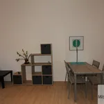 Miete 1 Schlafzimmer wohnung von 55 m² in Nuremberg