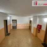 Rent 4 bedroom apartment of 76 m² in Třinec