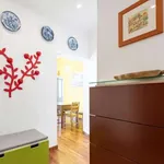 Rent 3 bedroom apartment in genoa